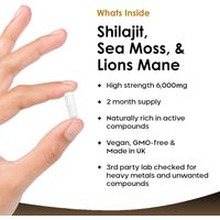 New Leaf Shilajit, Sea Moss & Lions mane Capsules